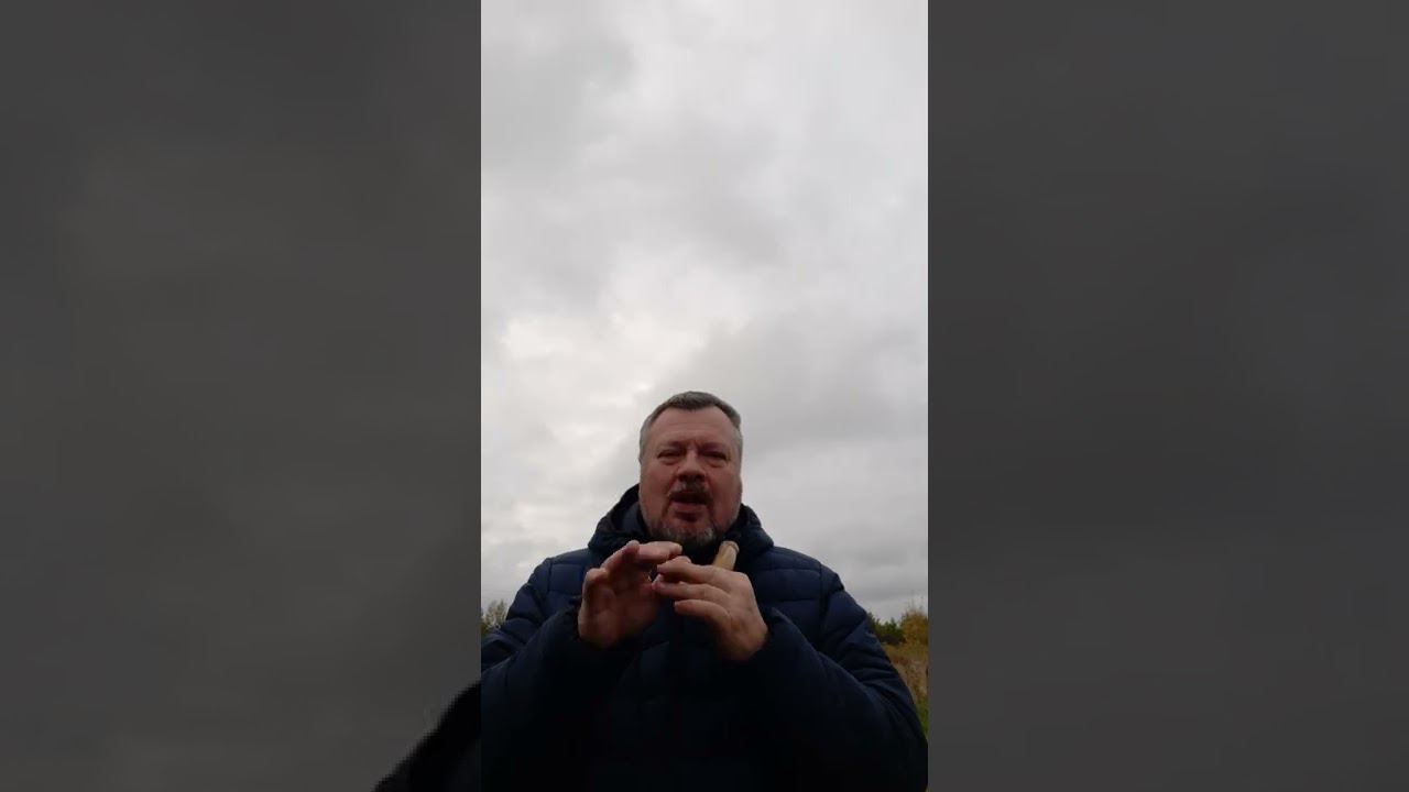 Как манить гуся. Низкие частоты на белолобом манке.