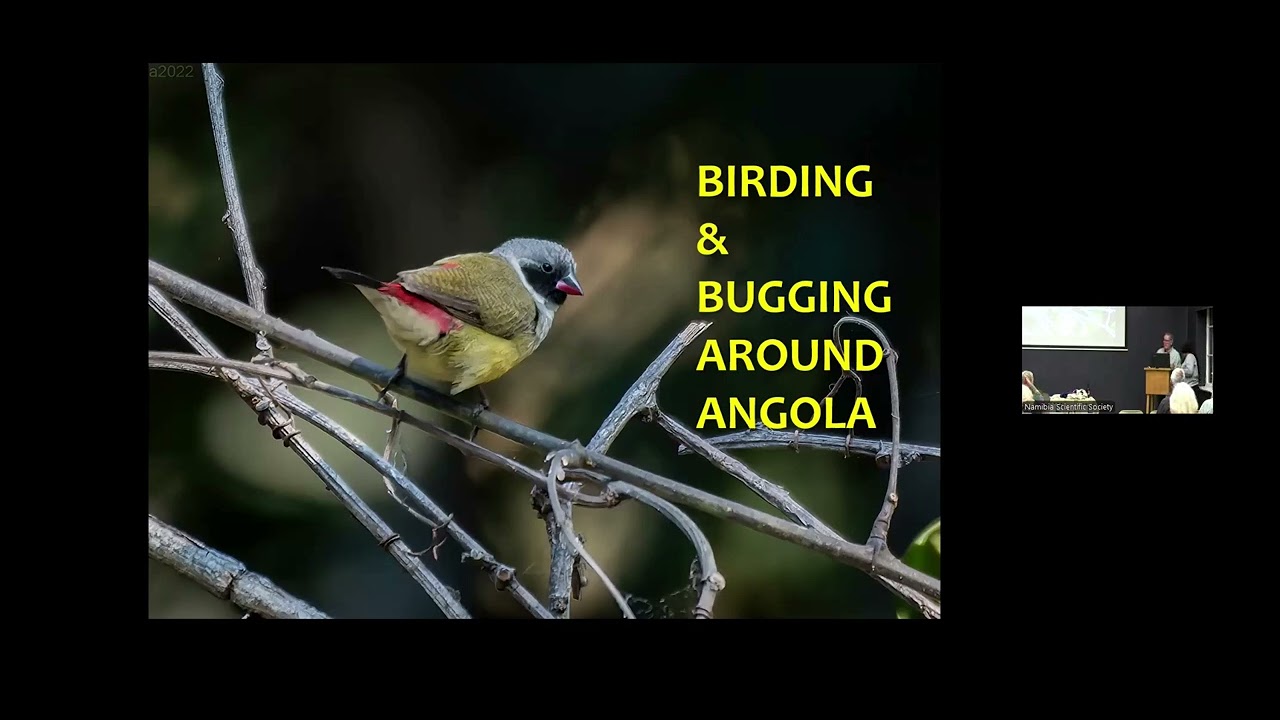 Bird Club presentation: Amazing Angola: Biodiversity and Ecology by Chris Hines & John Mendelsohn