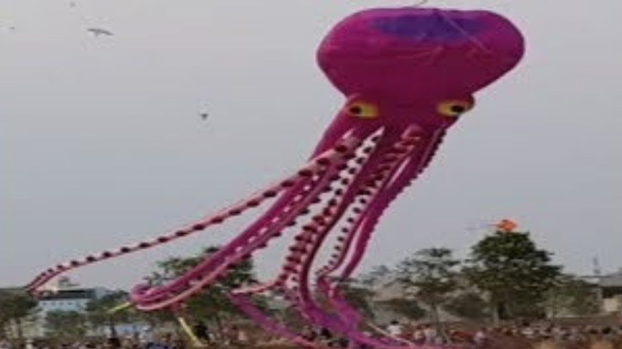 Thả diều bạch tuộc khổng lồ bay lên | Big octopus kite