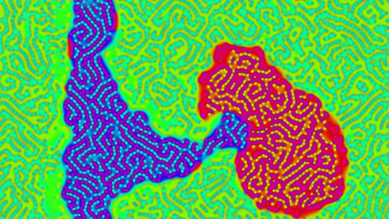 reaction diffusion experiment big cell farm big cell farm 150 000B 202   competing regions with patt