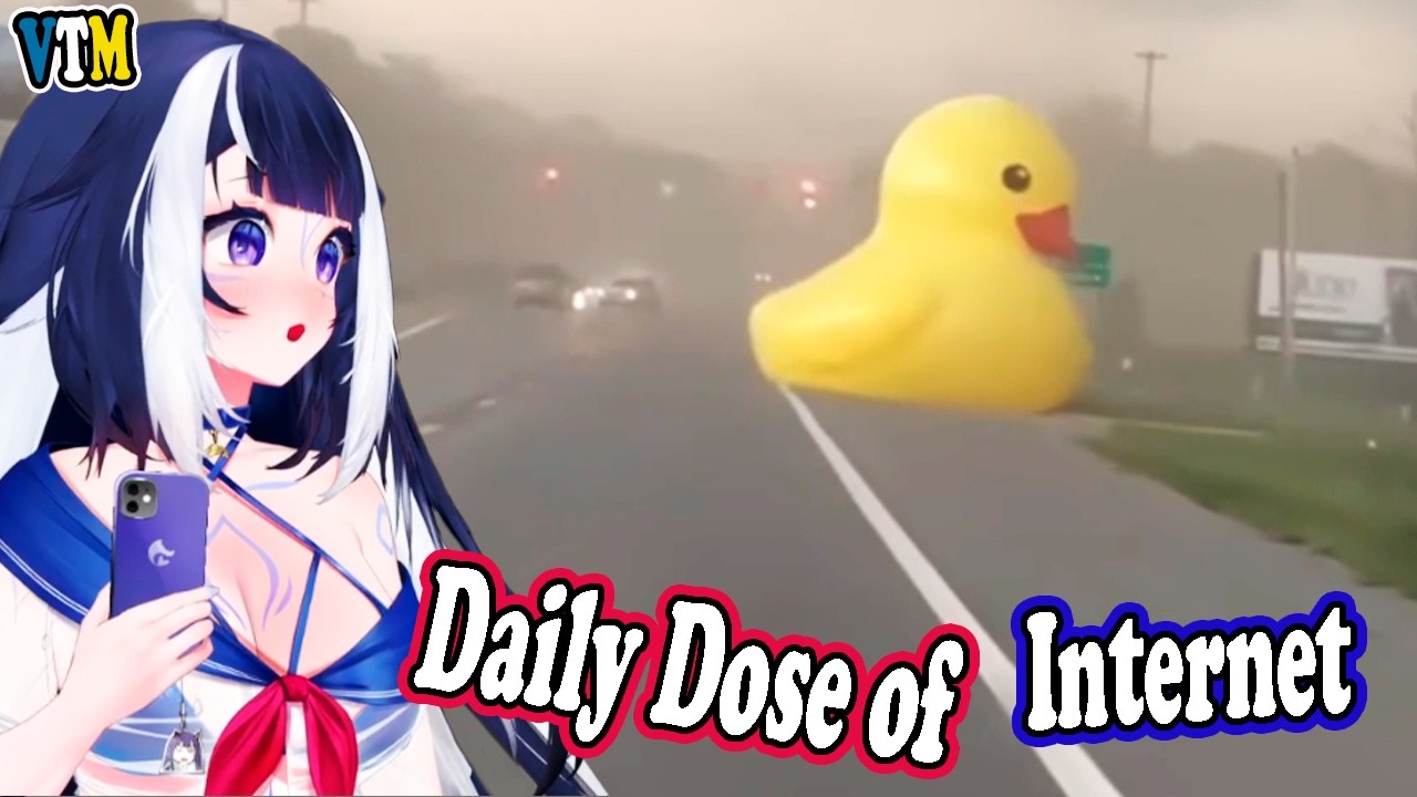 Shylily Reacts To Daily Dose of Internet | Daily Dose Shylily NOW 🦐