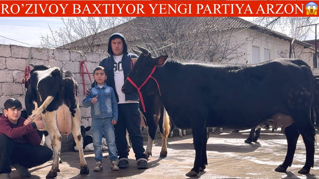 ROʻZIVOY😳F💥YANGI P ONA BOLA SGIRLAR K NARXLAR YANA ARZON QOʻYVORDI SHOSHILING🥛🌨️🏃