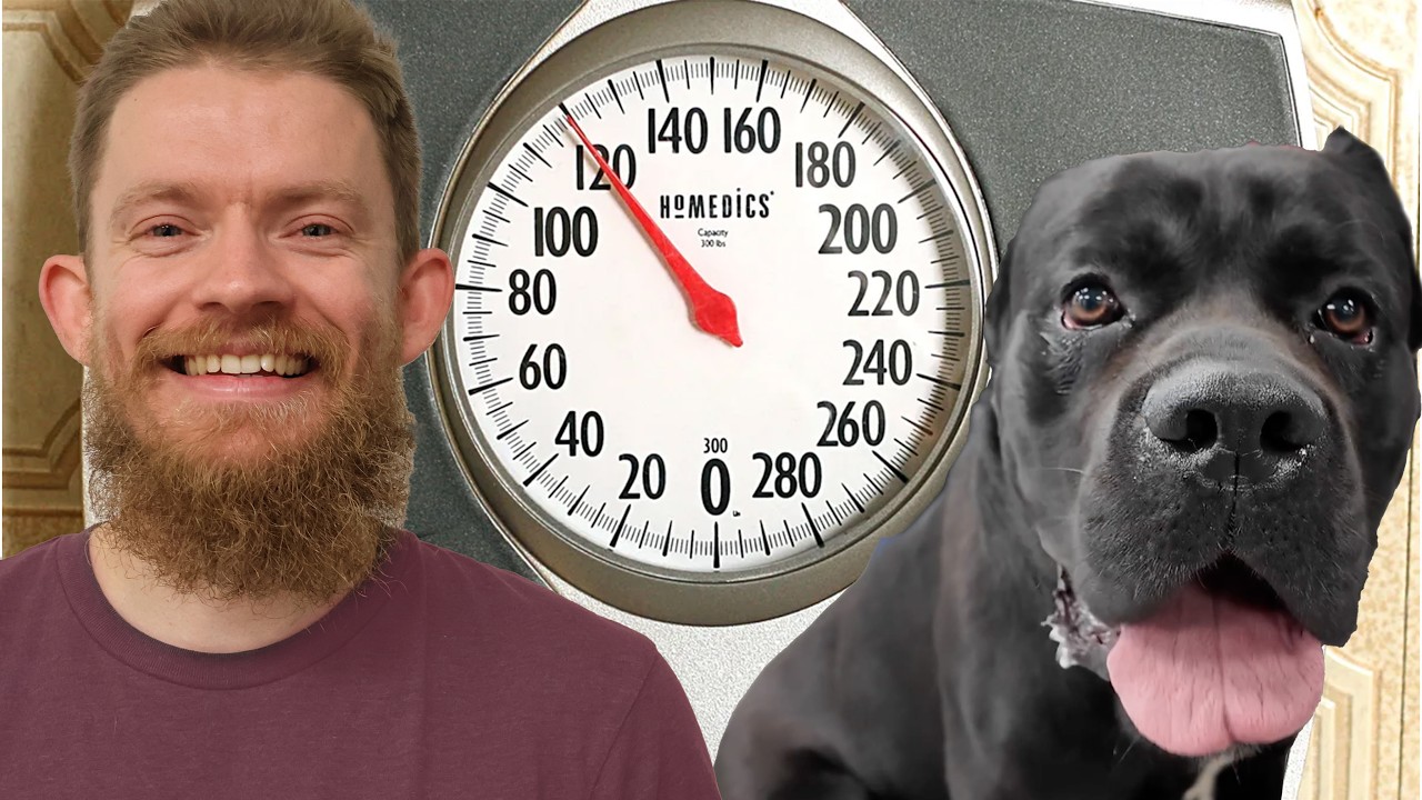 These dogs weighed how much?? Guessing the dogs weight before I get smacked