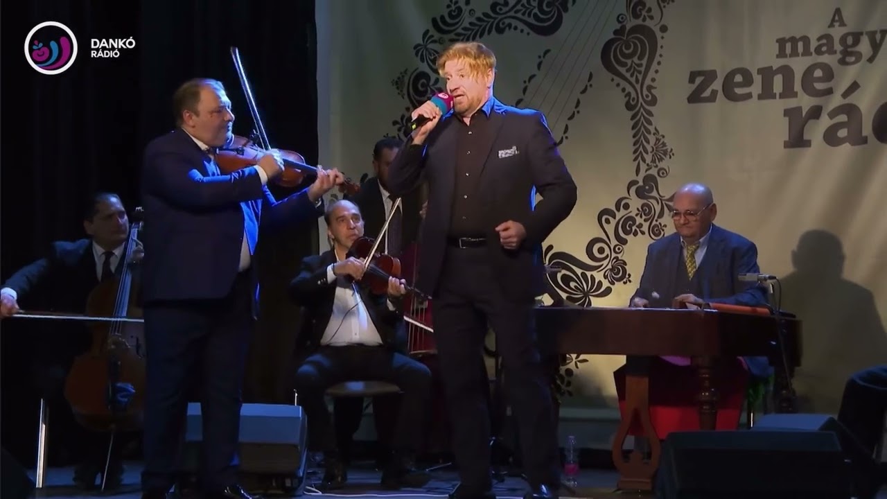 Dániel Gábor-Hajlik a rózsafa,hajlik a lány:Berki Péter zenekara