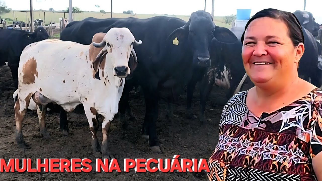QUANDO A MULHER ENTRA NA PECUÁRIA LEITEIRA O MANEJO É COMPLETAMENTE DIFERENTE