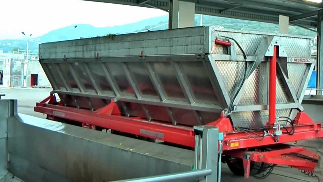 Scarico uva in cantina con vasca inox Negrizzolo