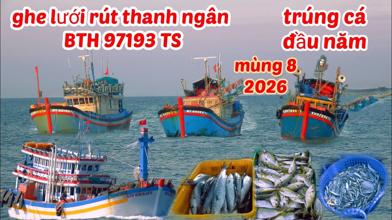 Ghe Lưới Rút Thanh Ngân BTH 97193 TS Trúng Cá Về Cảng LAGI Rất Sớm!!!