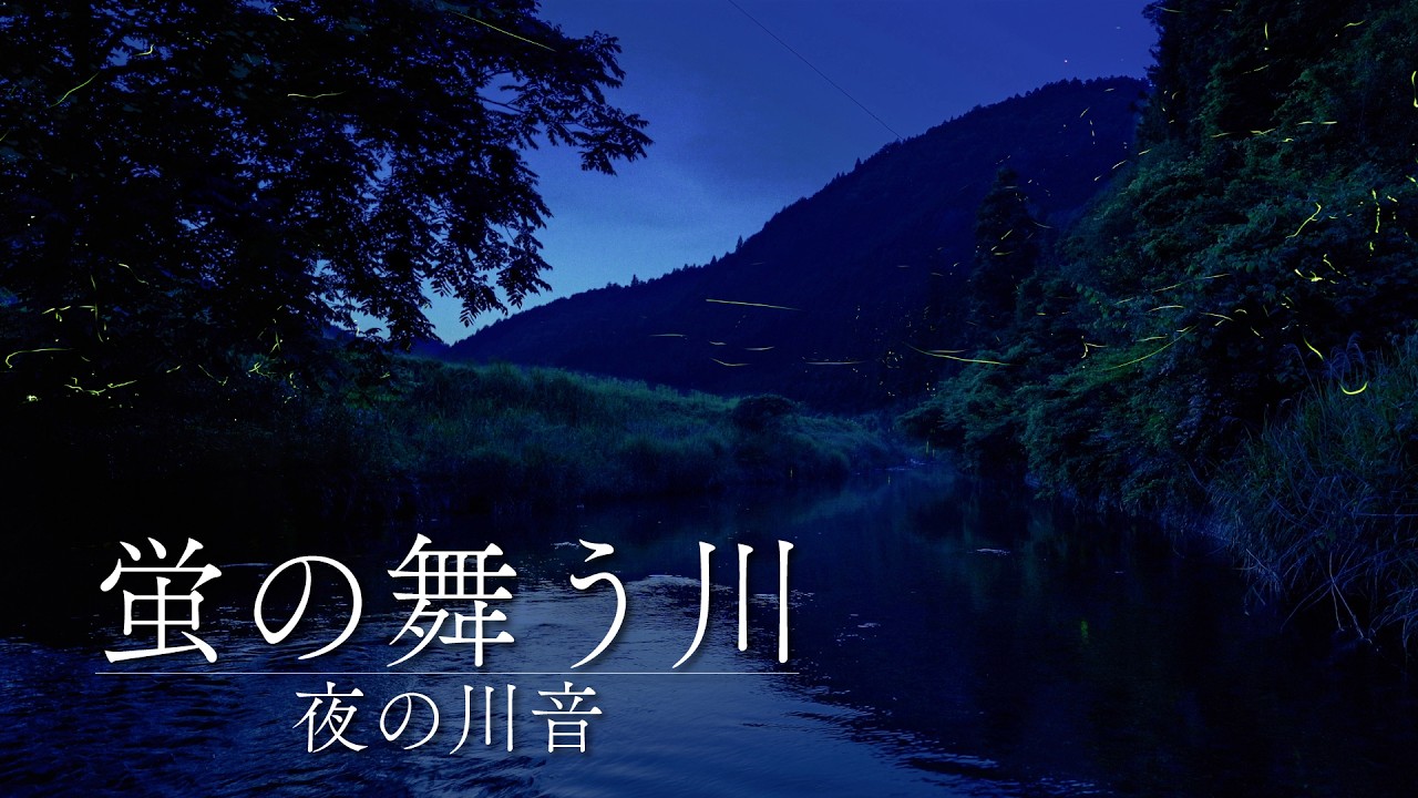【安眠用BGM】蛍の舞う夜の川｜環境音/ASMR｜川の音｜虫の音｜カエルの声