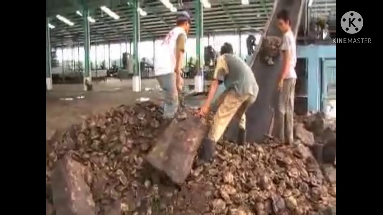 pabrik karet,  proses remah dari awal sampai jadi sir