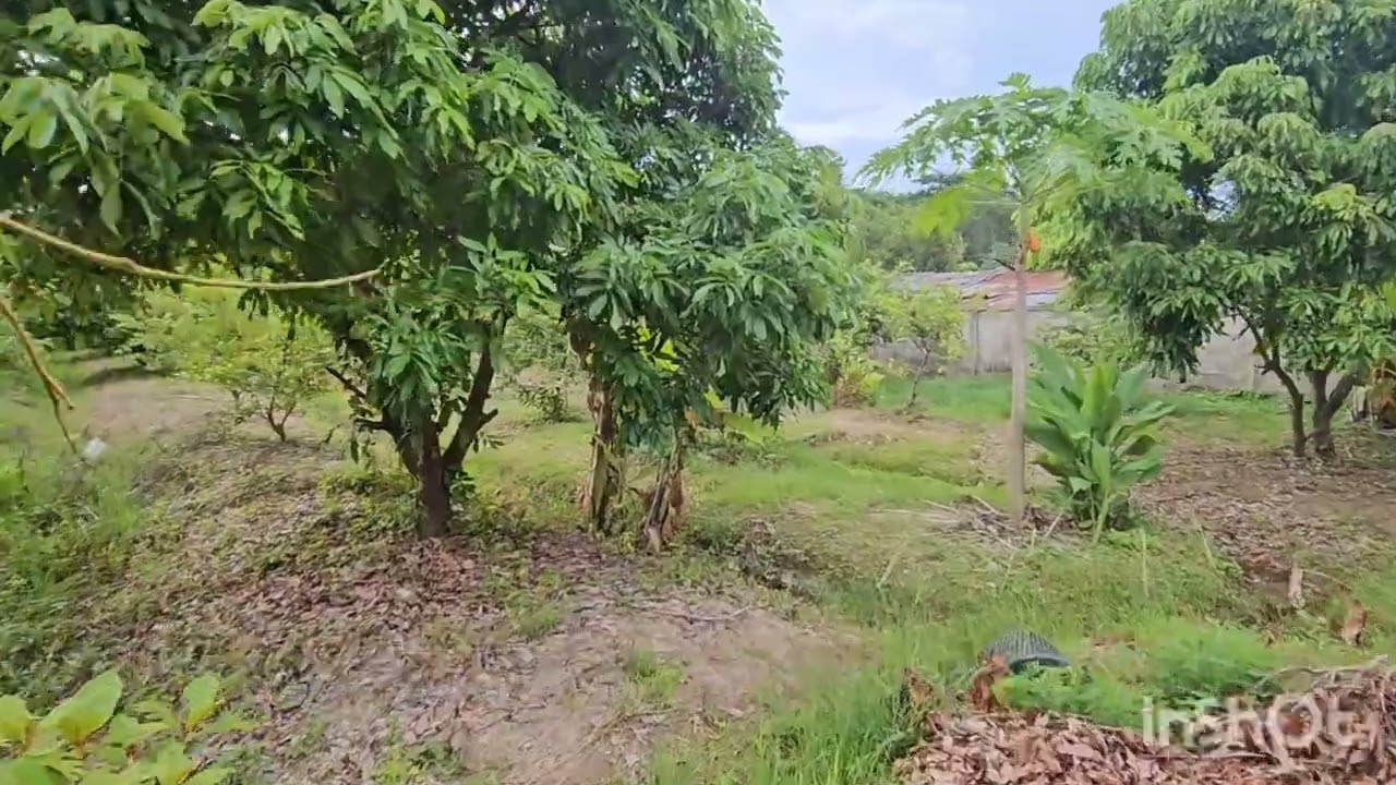 ขายที่ดินพร้อมสิ่งปลูกสร้าง อำเภอเมืองลำพูน