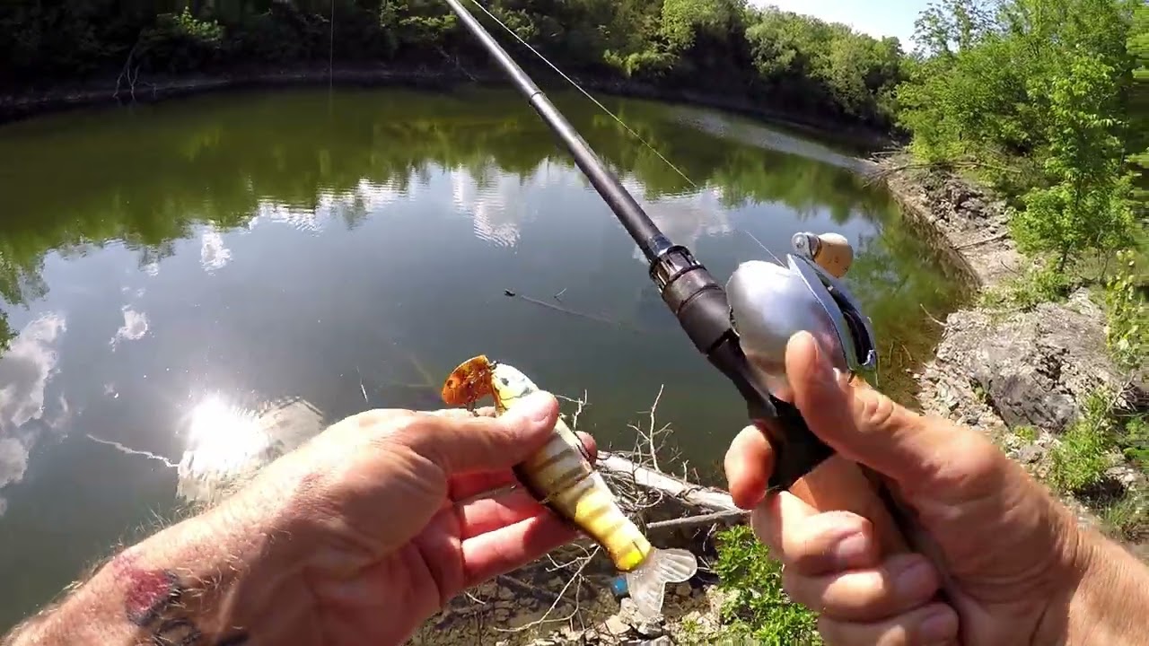 MegaBass P5 TEQUILA BACCARAC F7 70X VS St Croix Victory Heavy Swimbait Rod on the Water Challenge