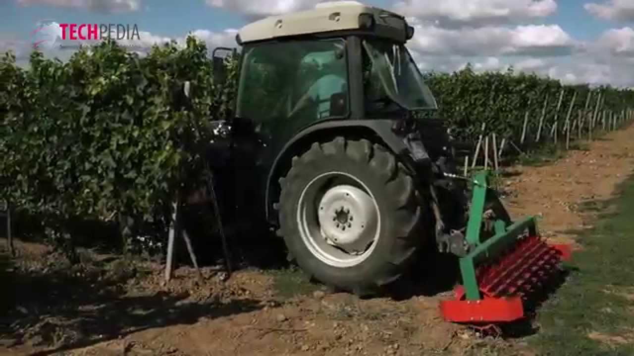 Vinárstvo Tajna: Tvorba vína s inovatívnymi technológiami