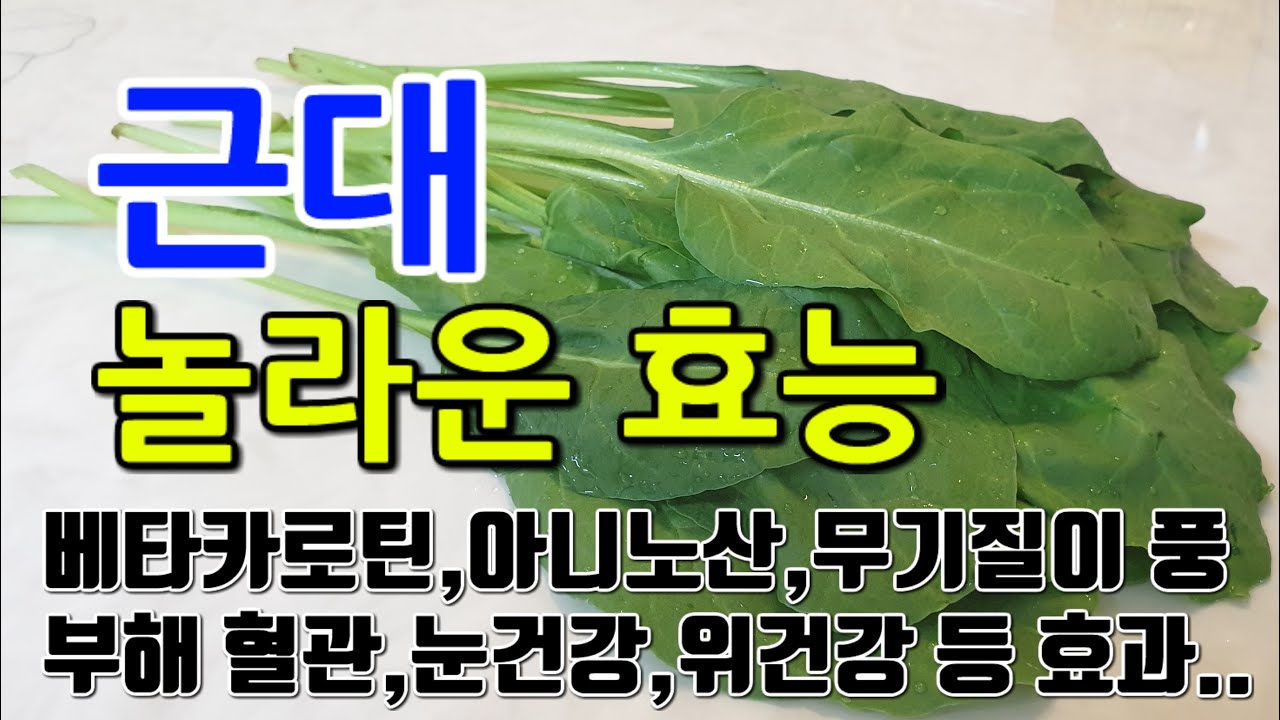 [근대 효능] 