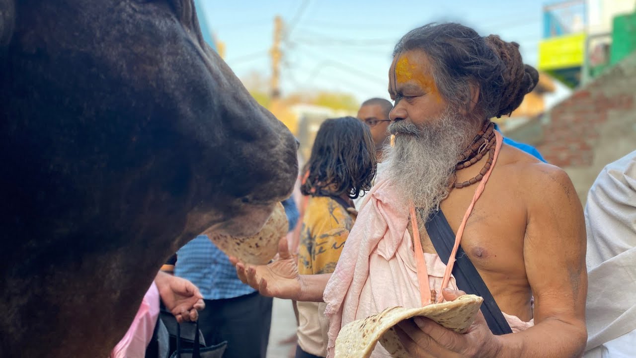 22/11/21 नाम अपराध व धाम अपराध से कैसे बचें ? श्री श्री बाबा द्वारा