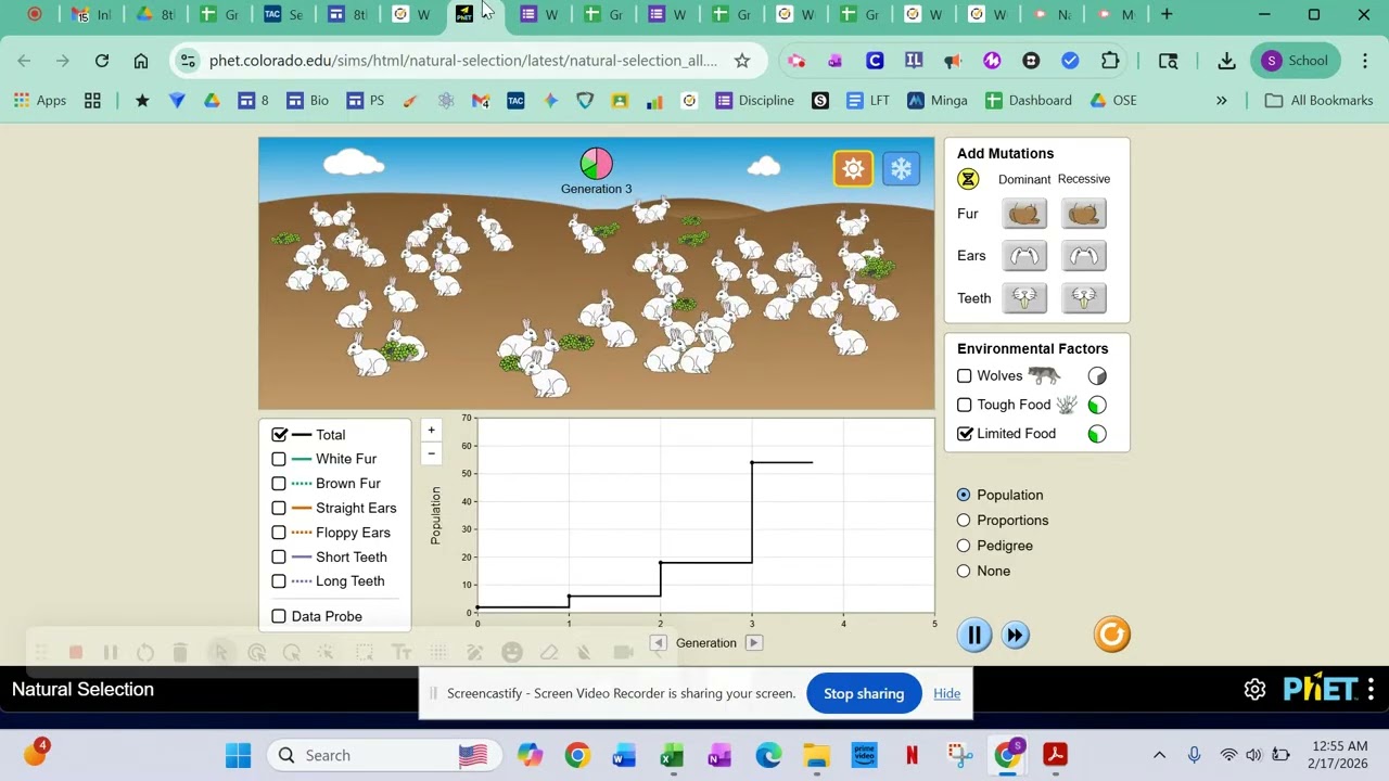 Entire Screen - Screencastify - February 17, 2026 12:49 AM