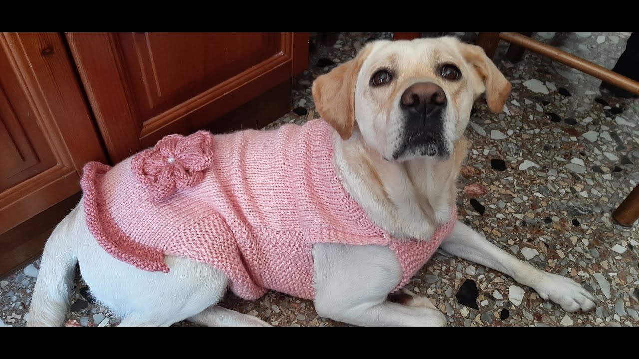 Cappottino Maya ai ferri / Knit dog sweater /Chaleco para perro