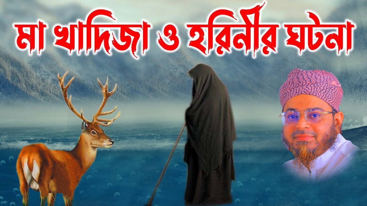 nasir uddin  ansari waz | mufti nasir uddin ansari | মুফতি নাসির উদ্দিন আনসারী । নাসির উদ্দিন আনসারী