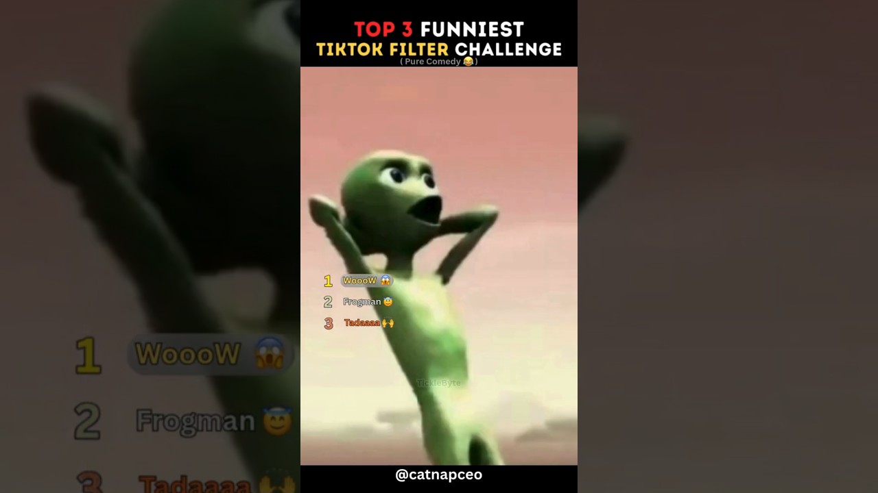 Top 3 Funniest TikTok Filter Challenge Edits (Part 41)