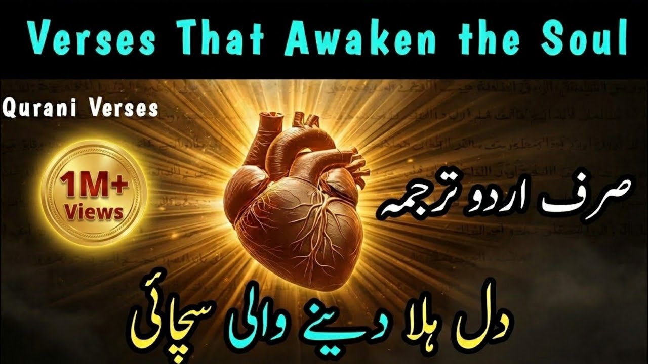 DIL About In Quran Verses Urdu Translation Listen Carefully