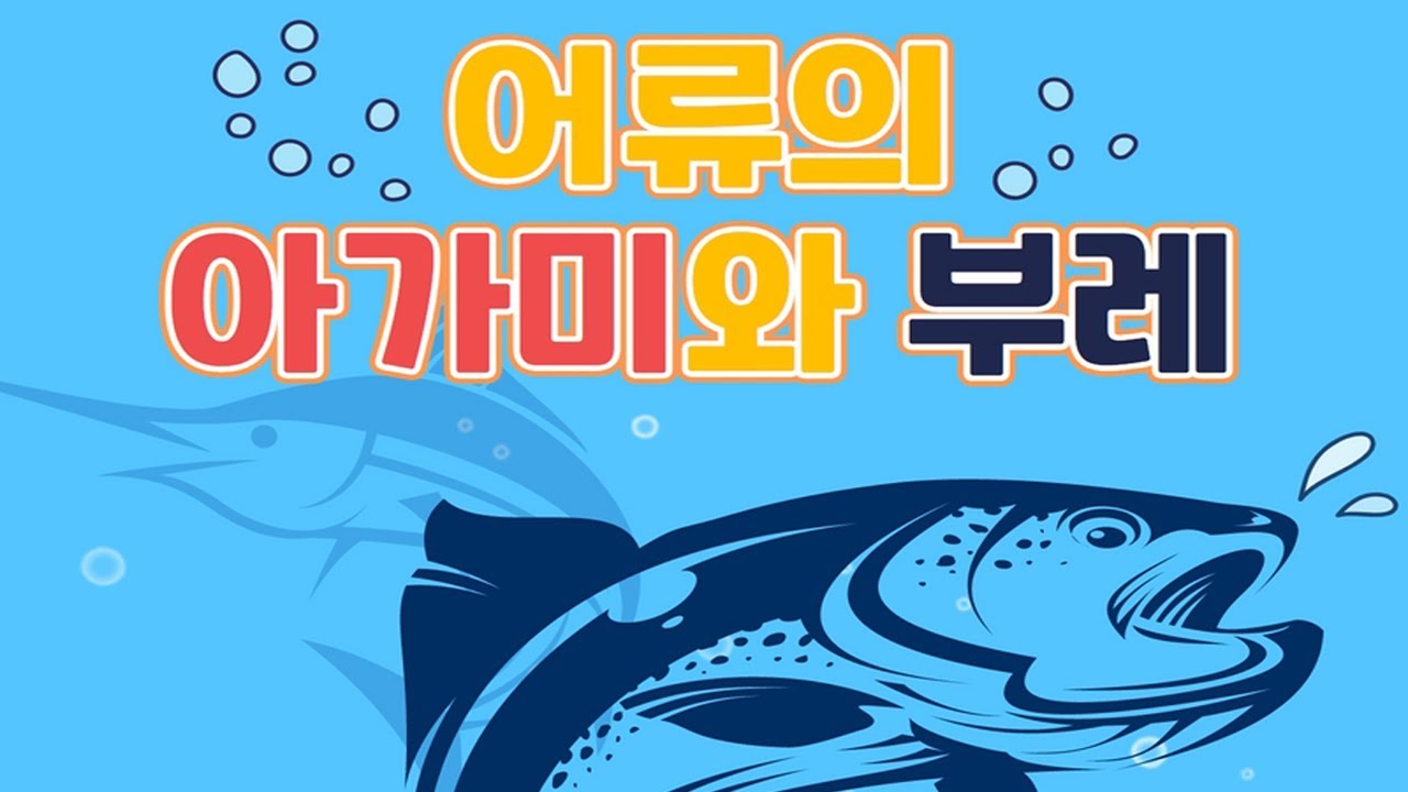 어류의 아가미와 부레