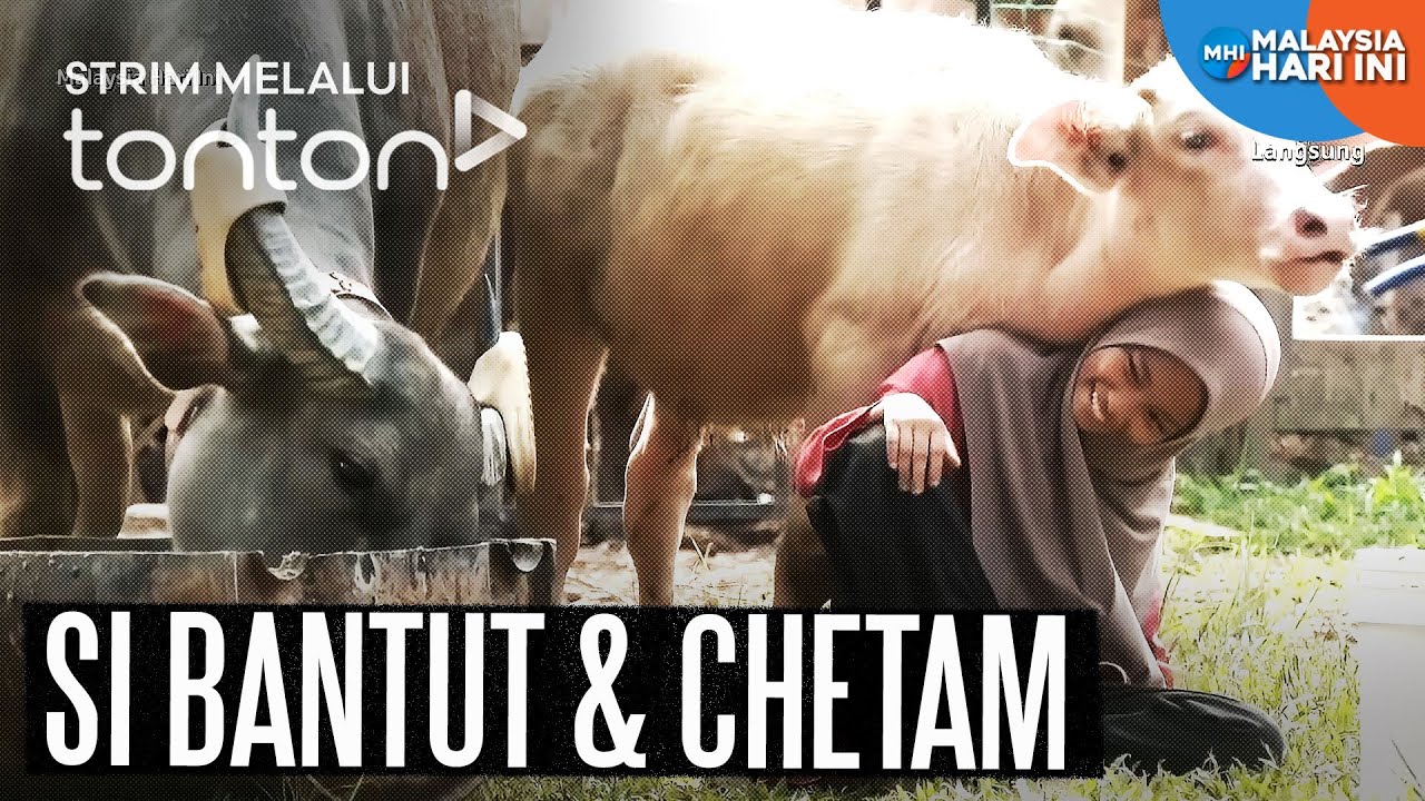 [CLIP] MHI (8 Aug 2025): Si Bantut & Chetam | Tonton