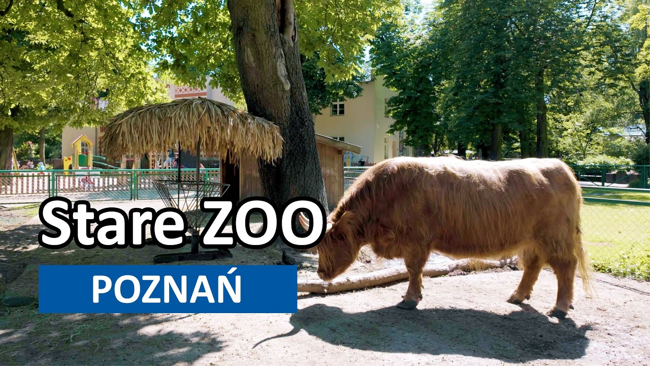 Poznań: Stare ZOO