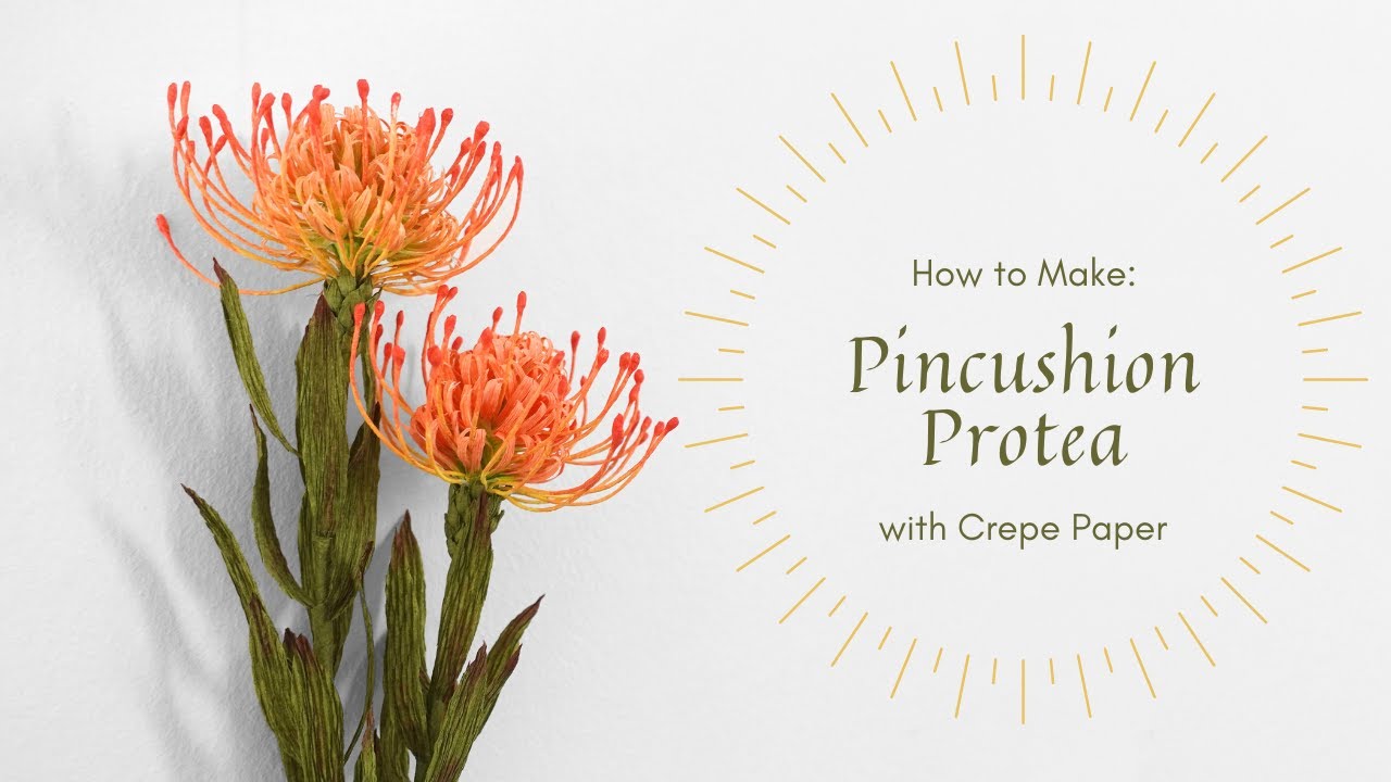 LEARN TO MAKE PROTEA- PINCUSHION with Crepe Paper #paperflower