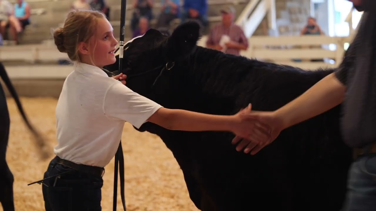 2023 County Fair