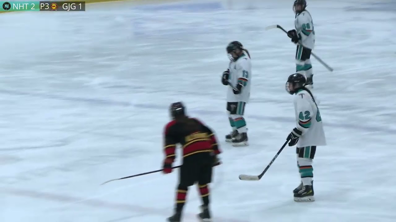 (2025-2026) U18BB North Halton Twisters #2531 vs Guelph Jr Gryphons #4479 February 15, 2026 P3