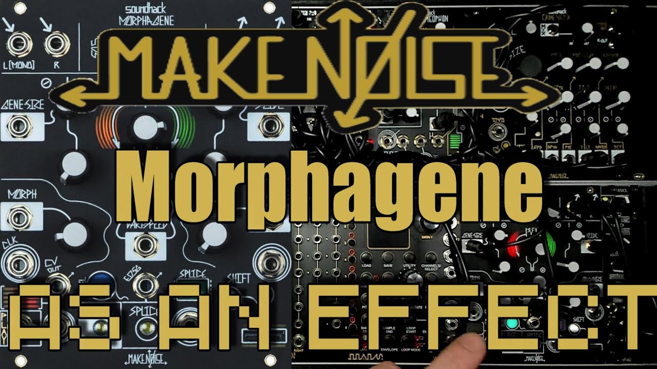 Make Noise Morphagene as an Effect Tutorial | Eurorack