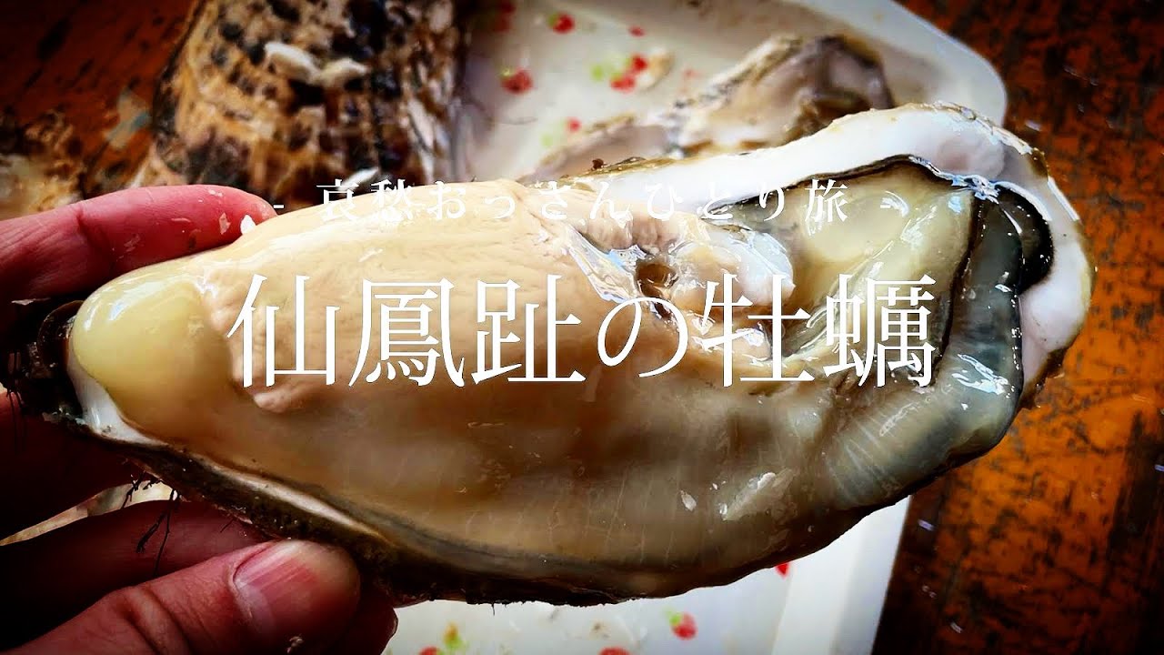 【北海道 仙鳳趾村】仙鳳趾の牡蠣｜哀愁おっさんひとり旅 Vol.139