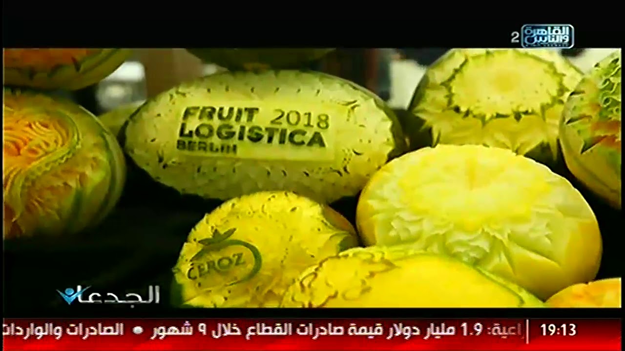 الجدعان | يرصد قصه نجاح شركة اجرين في زراعة وانتاج وتصدير الموالح لاسواق العالم