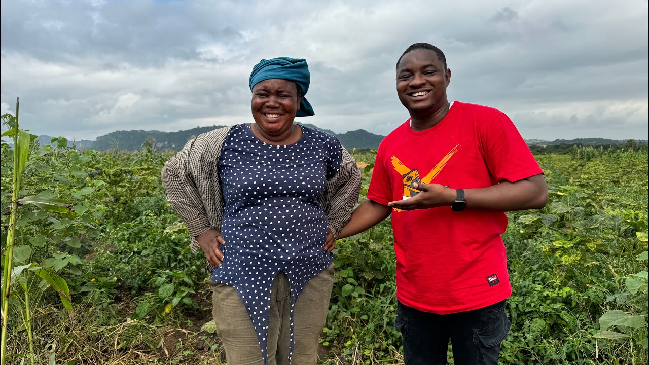 Vegetable Farming : How To Start a Successful Vegetable Farm in Ghana #vegetables