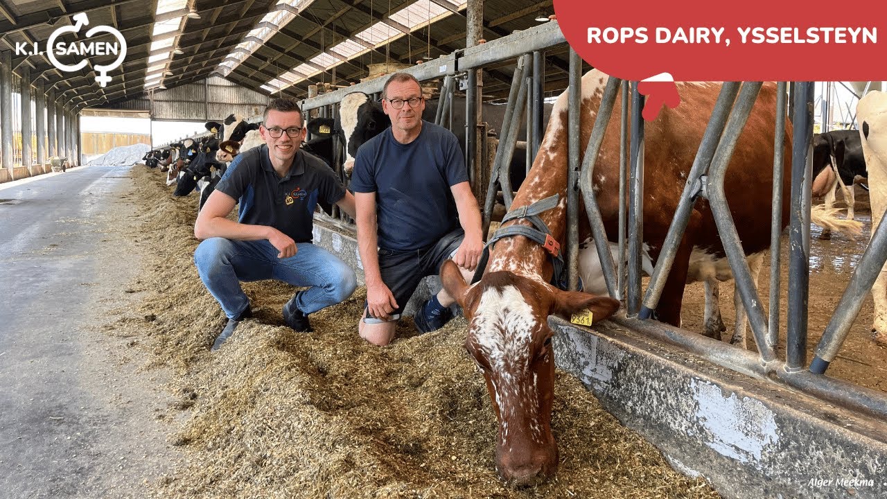 Rops Dairy ademt familie, fokkerij en toekomstvisie