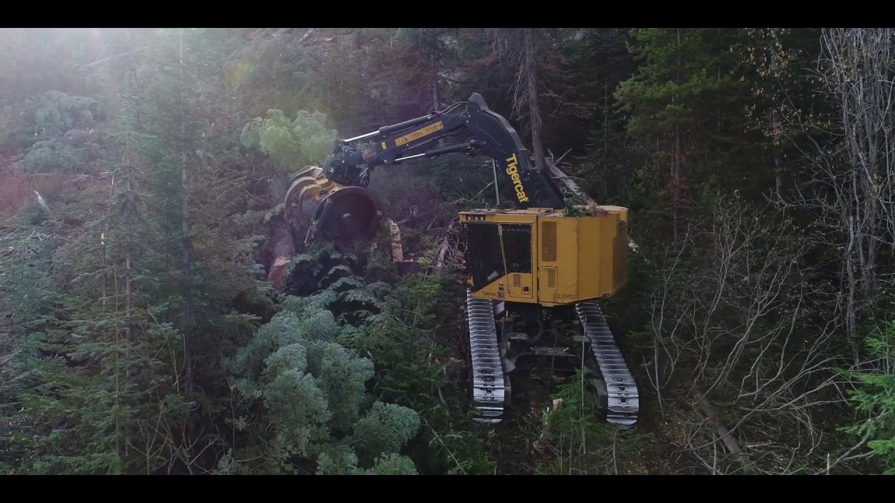 Eagle Cr with Gibson & Son Road Building