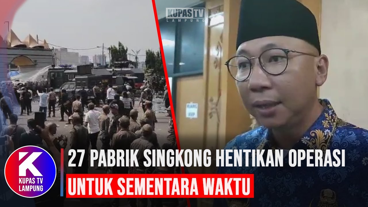 Kebijakan Harga Singkong Rp1 350 Berlaku, Puluhan Pabrik di Lampung Hentikan Operasi