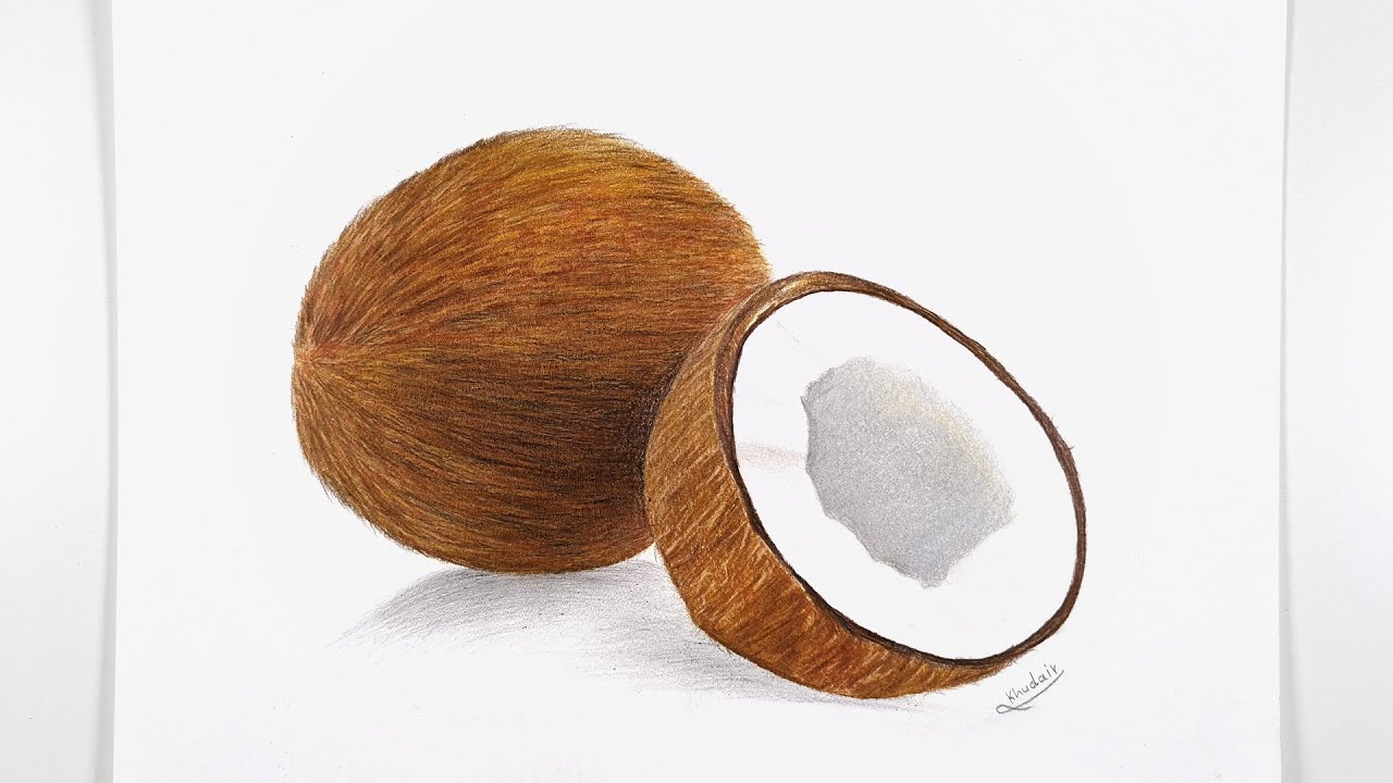 Coconut Drawing with colored Pencils || Drawing 3D