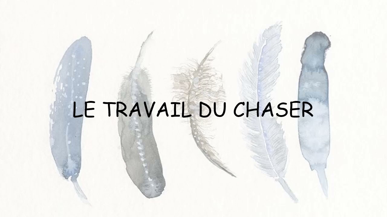 Flammes jumelles : le travail du chaser