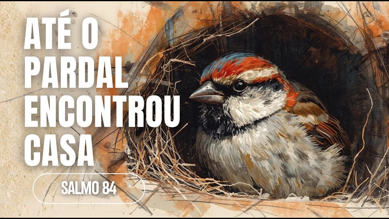 ATÉ O PARDAL ENCONTROU CASA | Pr. Moisés Vasconcelos
