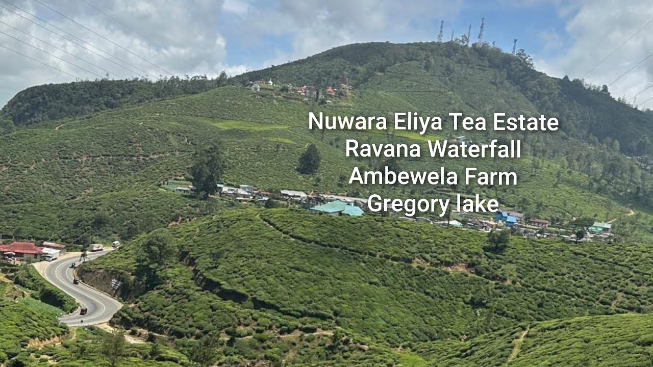 Visit SriLanka/Tea Estate/ Waterfall/ Gregory lake/ Milk farm/@SusanFoodJourny
