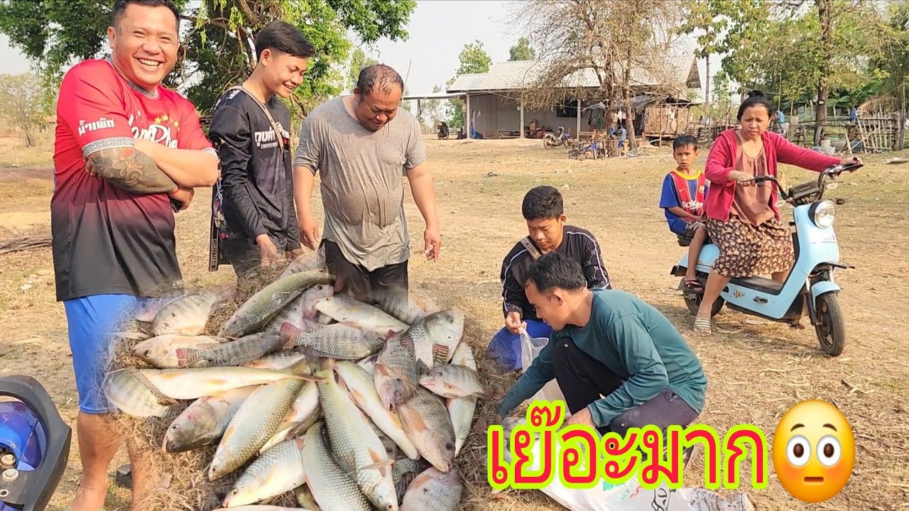 ปู่ ของจีโน่ ผ่านพ้นคืนนี้มาได้ พากันมาขอชื้อปลาหนองสระลุง ไปไว้เฮ้ดกินสู่ญาติพี่น้องกิน 19 ค.ศ. 26