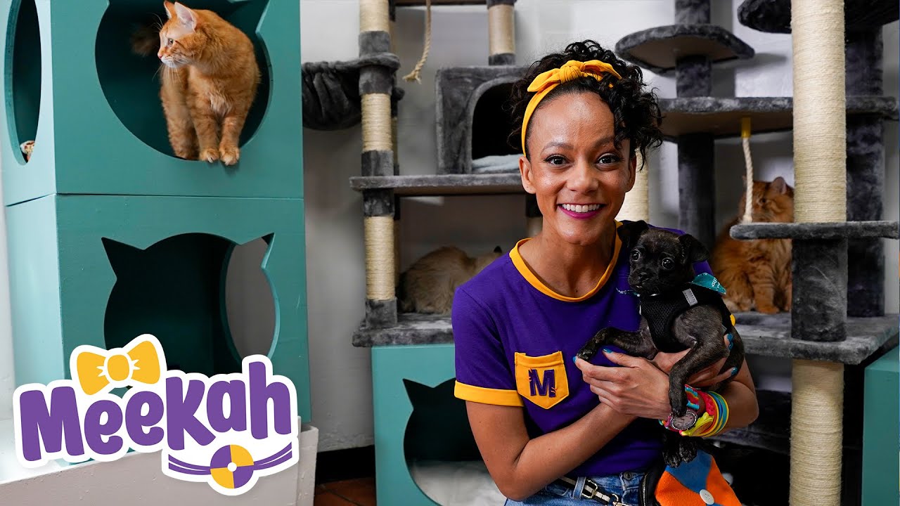 Meekah Visits The Animal Shelter - Animals for Kids | Blippi & Meekah | Educational Videos for Kids
