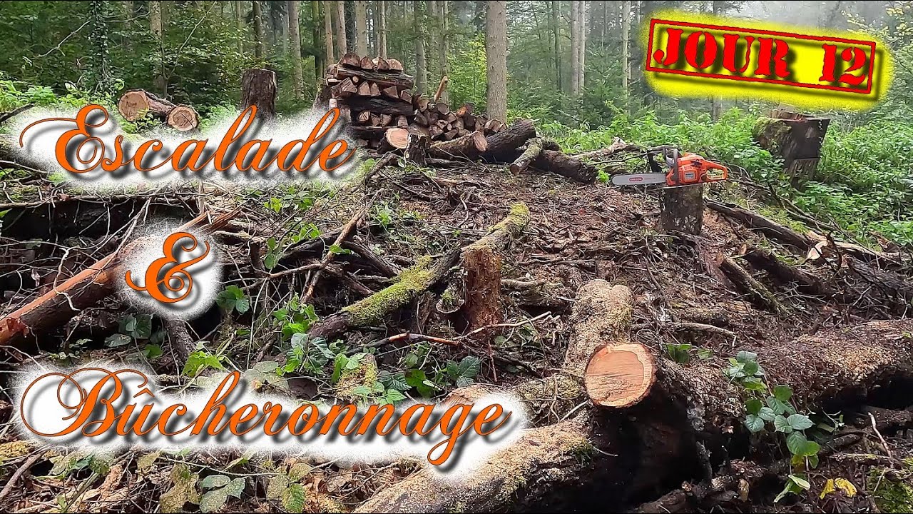 [EN MODE BUCHERON] ESCALADE & BÛCHERONNAGE 🪵🌲🪚🌳🪓