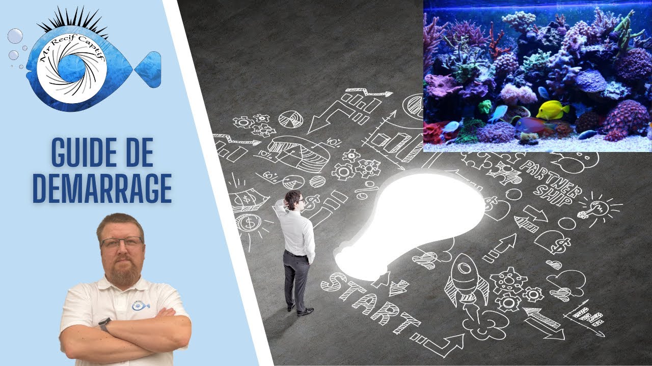 Guide Ultime : Démarrer un Aquarium Récifal sans Faux Pas !