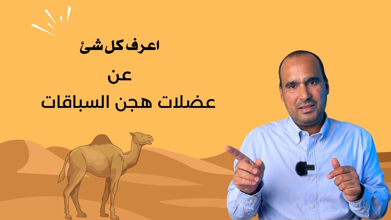 اعرف كل شئ عن عضلات هجن السباق _ دكتور احمد عيسي