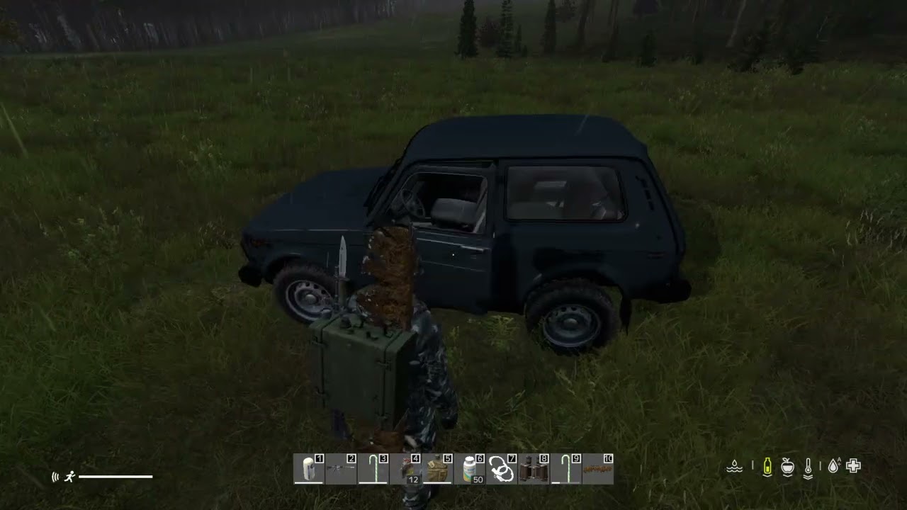 DayZ_20250730002451