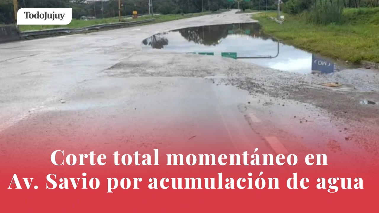 Corte total momentáneo en Av. Savio por acumulación de agua en la ruta