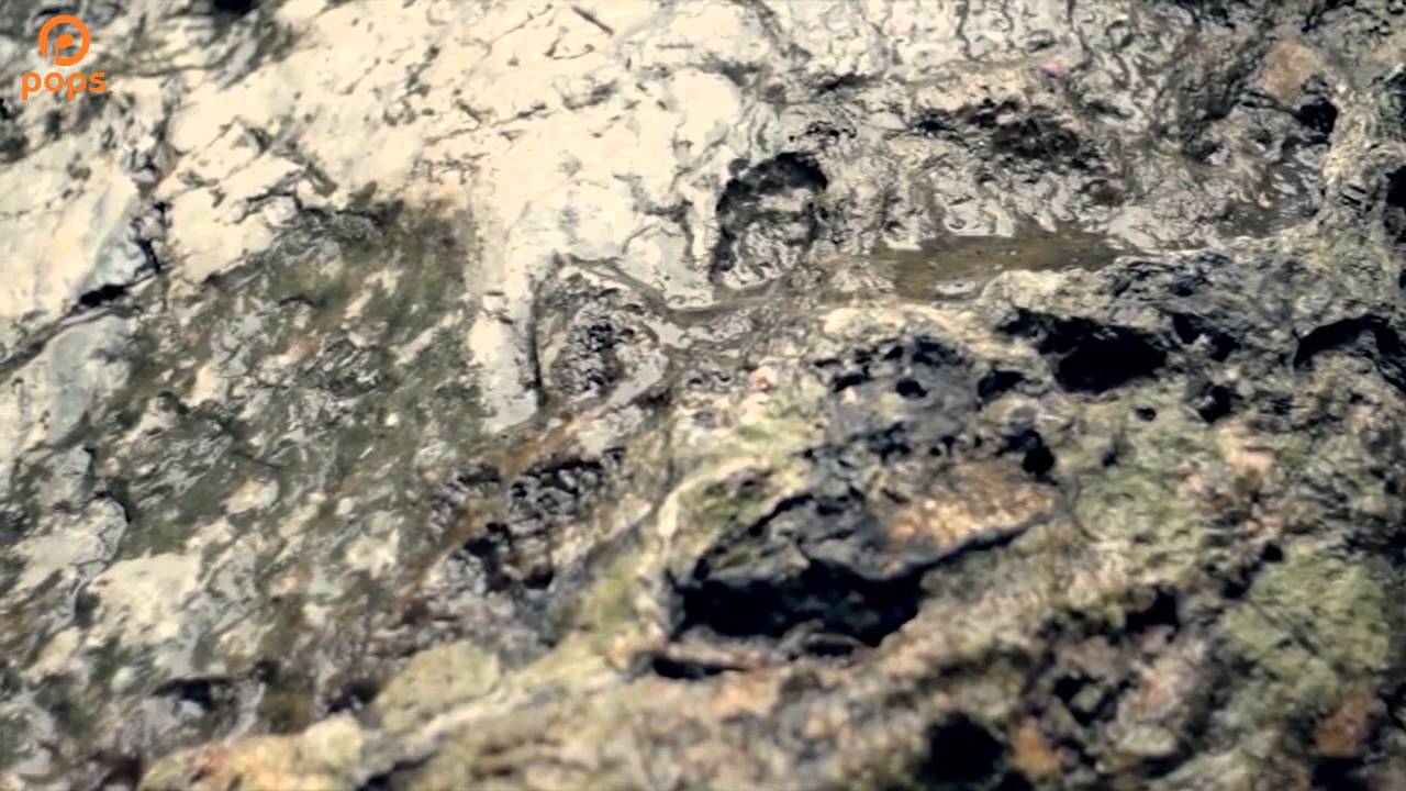 Miền Trung Yêu Dấu - Lê Sang [Official]