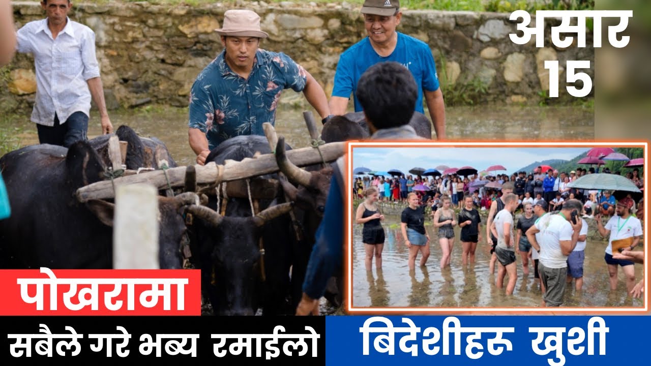 First time ropai gariyo || Pame Mud Festival,Pokhara