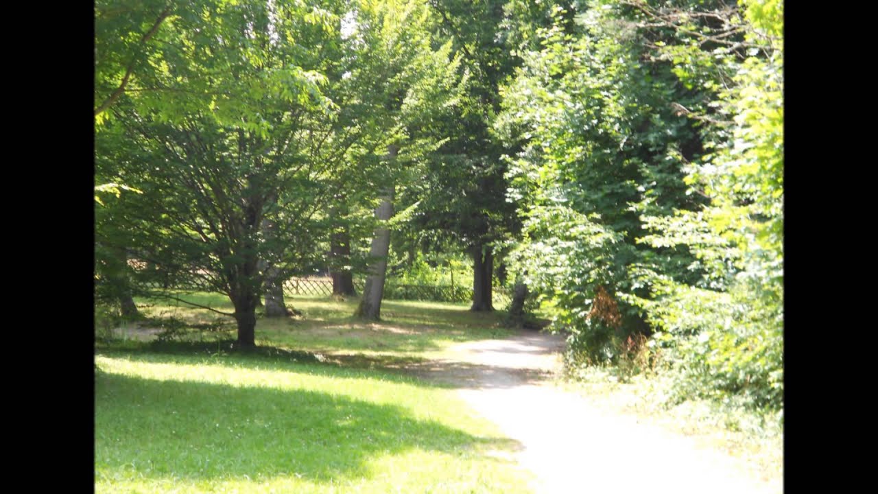 Le domaine de Charbonnière St Jean de Braye
